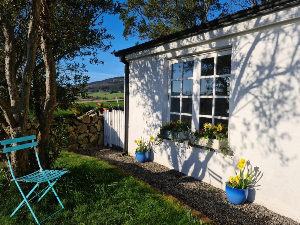 Lynam Cottage Ashford المظهر الخارجي الصورة